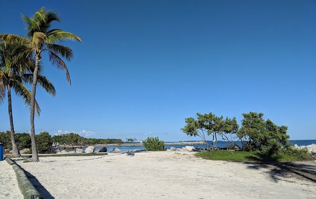 Harry Harris Beach and Park